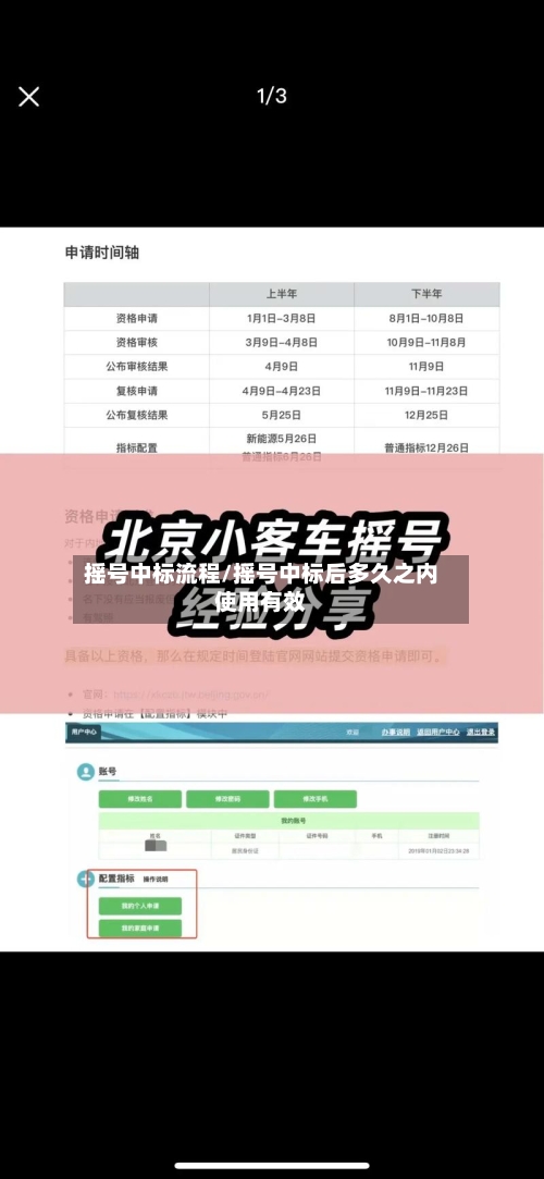摇号中标流程/摇号中标后多久之内使用有效-第2张图片