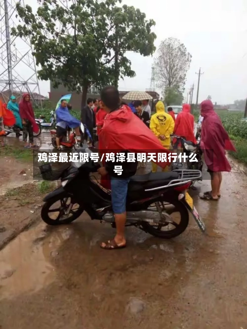 鸡泽最近限号/鸡泽县明天限行什么号-第2张图片