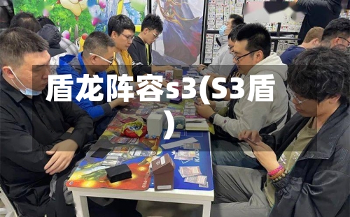 盾龙阵容s3(S3盾)-第2张图片