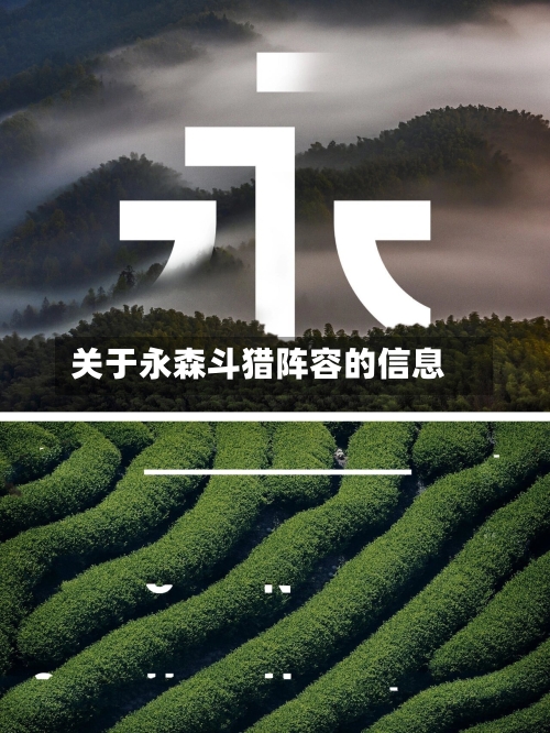 关于永森斗猎阵容的信息