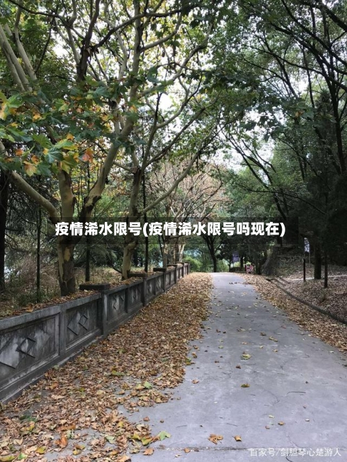 疫情浠水限号(疫情浠水限号吗现在)-第2张图片