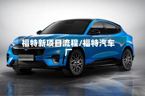 福特新项目流程/福特汽车厂-第3张图片