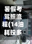 暑假考驾照流程(14油耗投多少钱一公里)-第2张图片