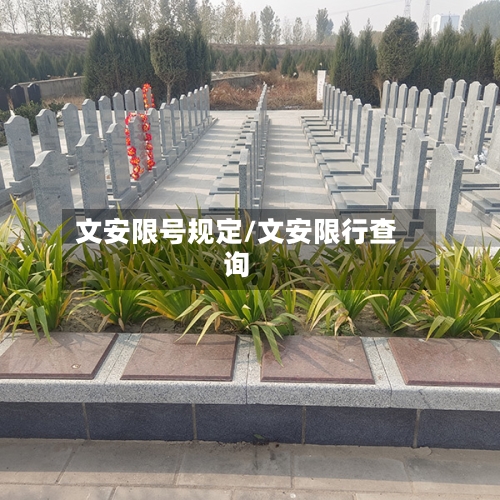 文安限号规定/文安限行查询-第2张图片