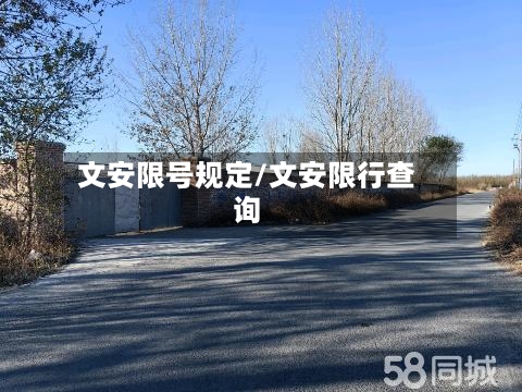 文安限号规定/文安限行查询-第3张图片