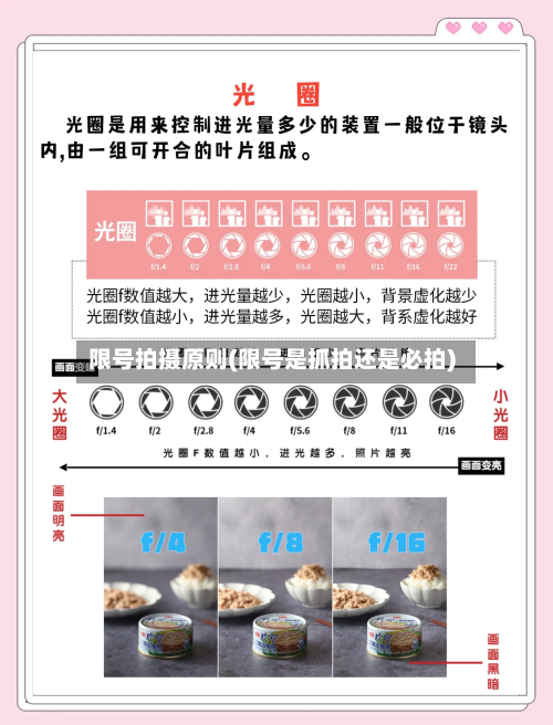 限号拍摄原则(限号是抓拍还是必拍)-第2张图片