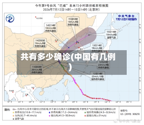 共有多少确诊(中国有几例)