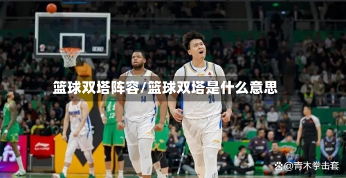 篮球双塔阵容/篮球双塔是什么意思