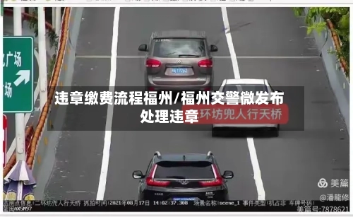 违章缴费流程福州/福州交警微发布处理违章-第2张图片