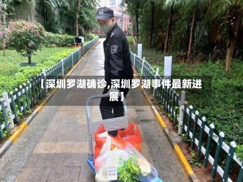 【深圳罗湖确诊,深圳罗湖事件最新进展】