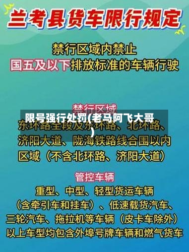 限号强行处罚(老马阿飞大哥)-第3张图片