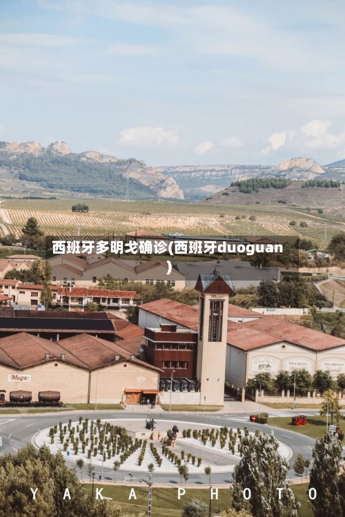 西班牙多明戈确诊(西班牙duoguan)