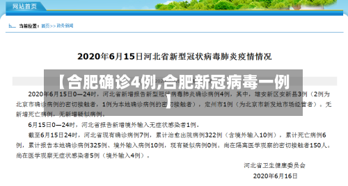 【合肥确诊4例,合肥新冠病毒一例】-第2张图片