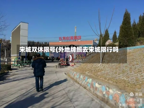 宋城双休限号(外地牌照去宋城限行吗)