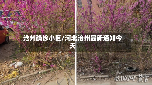 沧州确诊小区/河北沧州最新通知今天