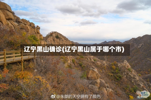 辽宁黑山确诊(辽宁黑山属于哪个市)-第3张图片