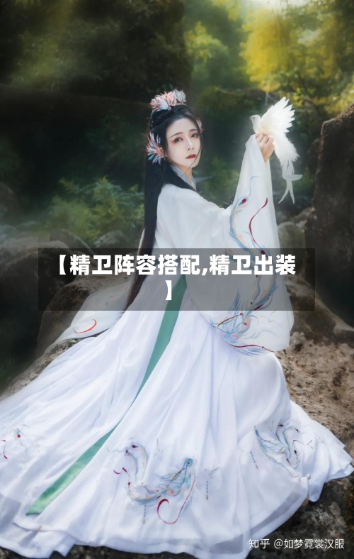 【精卫阵容搭配,精卫出装】