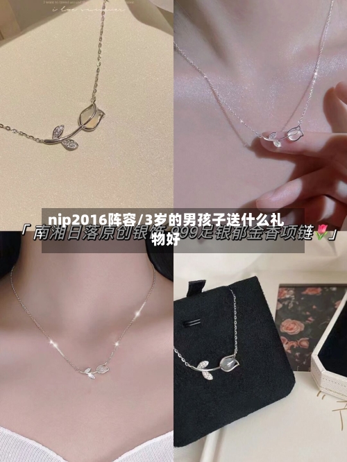 nip2016阵容/3岁的男孩子送什么礼物好-第2张图片