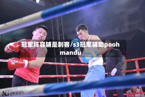 冠军阵容辅是刺客/s3冠军辅助poohmandu-第3张图片