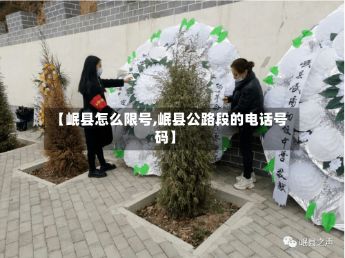 【岷县怎么限号,岷县公路段的电话号码】