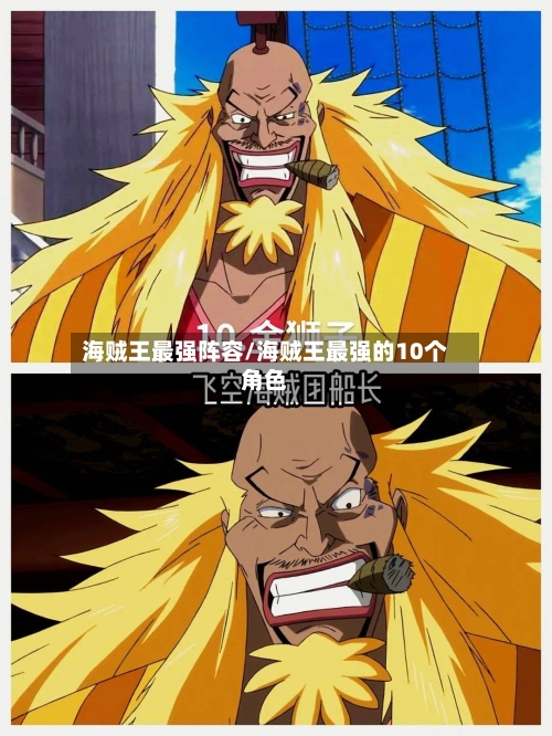 海贼王最强阵容/海贼王最强的10个角色