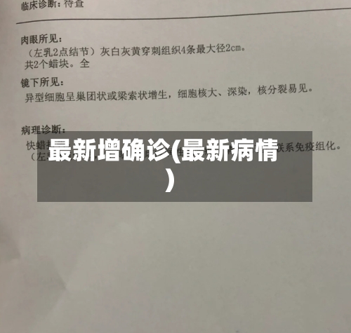 最新增确诊(最新病情)-第3张图片