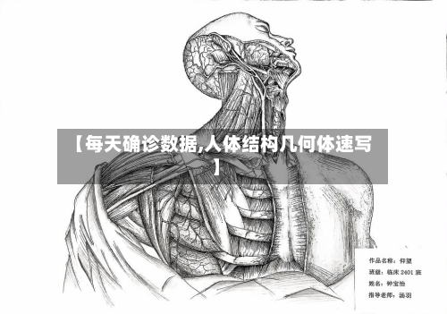 【每天确诊数据,人体结构几何体速写】-第2张图片