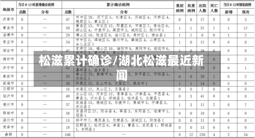 松滋累计确诊/湖北松滋最近新闻