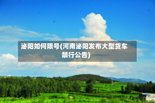 泌阳如何限号(河南泌阳发布大型货车禁行公告)-第2张图片