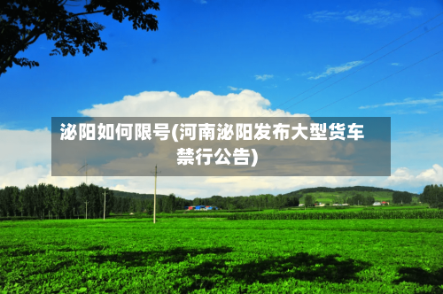 泌阳如何限号(河南泌阳发布大型货车禁行公告)
