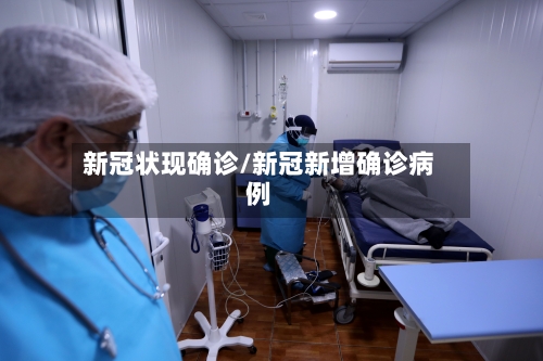 新冠状现确诊/新冠新增确诊病例-第3张图片