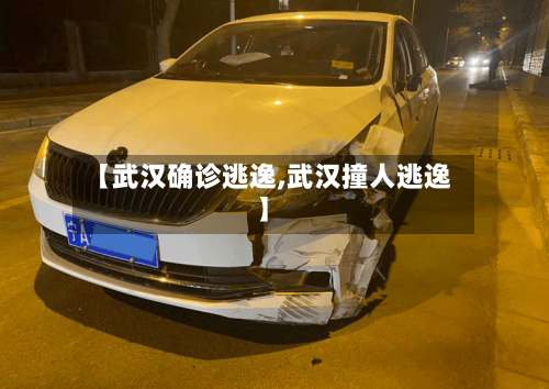 【武汉确诊逃逸,武汉撞人逃逸】-第3张图片