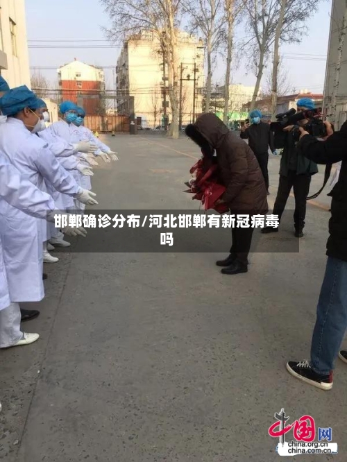 邯郸确诊分布/河北邯郸有新冠病毒吗