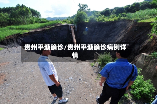 贵州平塘确诊/贵州平塘确诊病例详情
