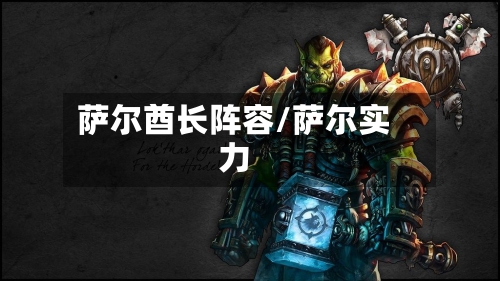 萨尔酋长阵容/萨尔实力