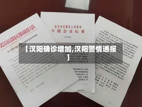 【汉阳确诊增加,汉阳警情通报】
