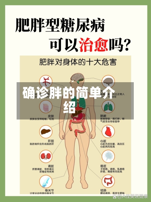 确诊胖的简单介绍