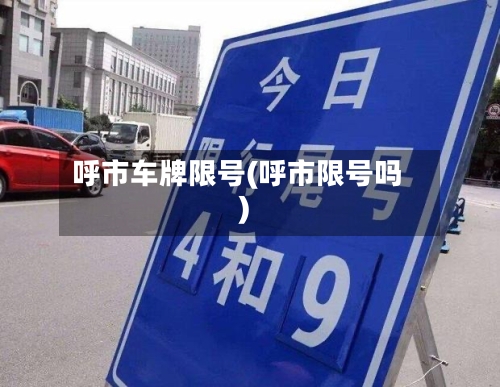 呼市车牌限号(呼市限号吗)