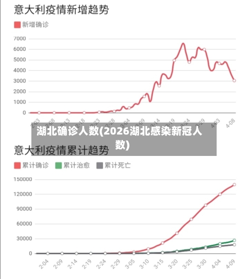 湖北确诊人数(2026湖北感染新冠人数)-第2张图片