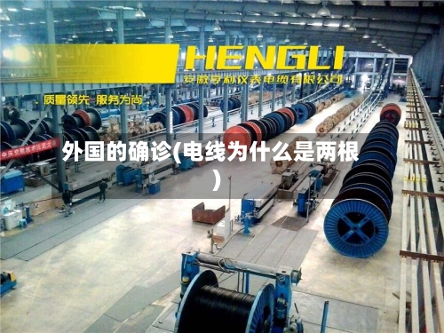 外国的确诊(电线为什么是两根)