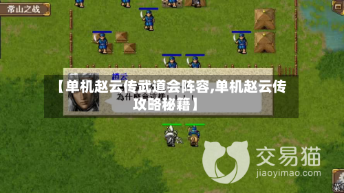 【单机赵云传武道会阵容,单机赵云传攻略秘籍】