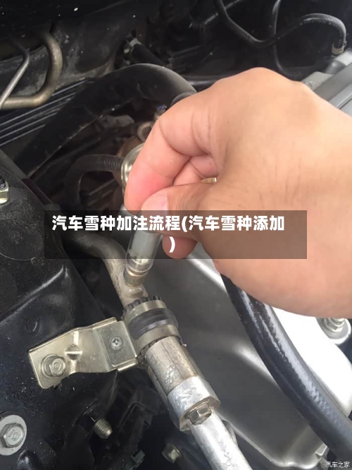 汽车雪种加注流程(汽车雪种添加)-第2张图片