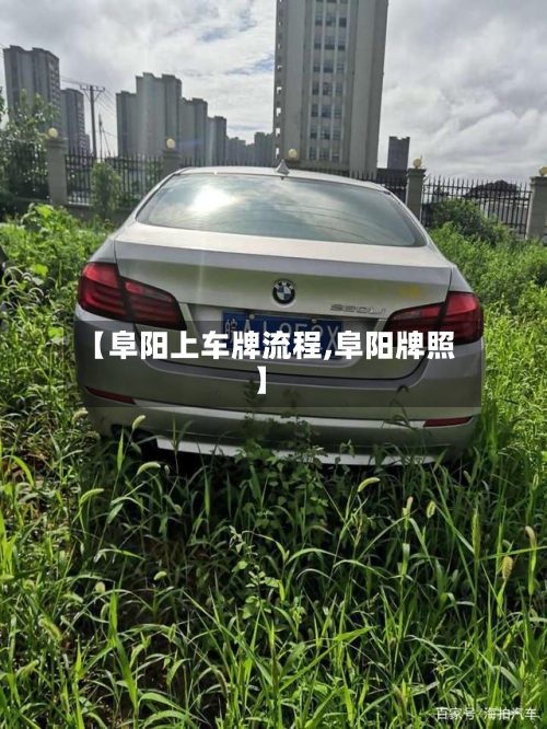 【阜阳上车牌流程,阜阳牌照】-第2张图片
