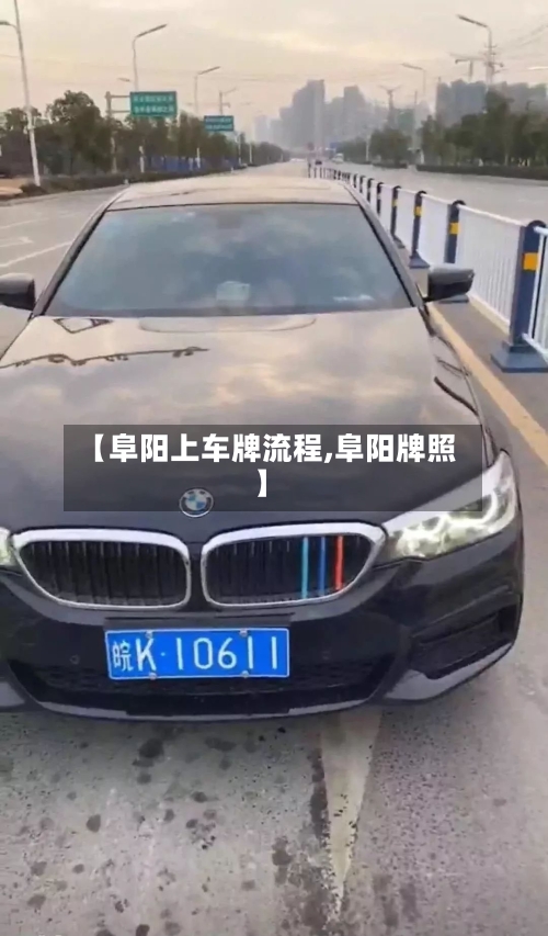 【阜阳上车牌流程,阜阳牌照】-第3张图片