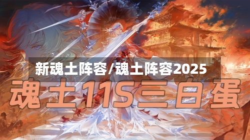 新魂土阵容/魂土阵容2025