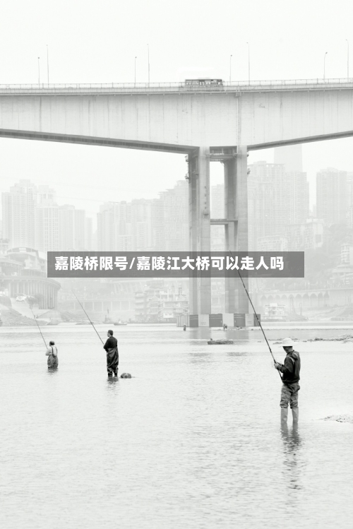 嘉陵桥限号/嘉陵江大桥可以走人吗