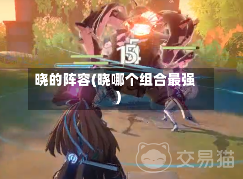 晓的阵容(晓哪个组合最强)-第2张图片