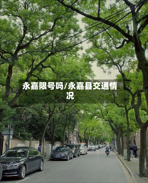 永嘉限号吗/永嘉县交通情况-第2张图片